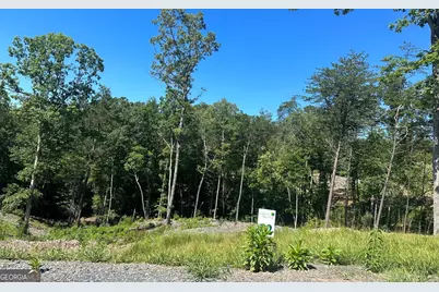 Lt 12 Mountain Laurel Ridge, Mineral Bluff, GA 30559 - Photo 14