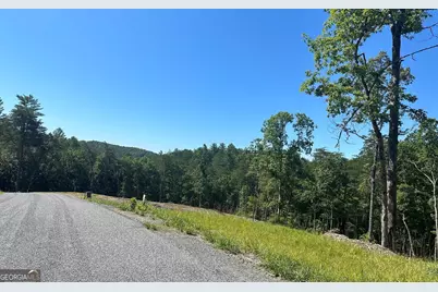 Lt 12 Mountain Laurel Ridge, Mineral Bluff, GA 30559 - Photo 10