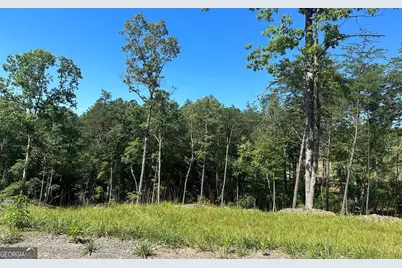 Lt 12 Mountain Laurel Ridge, Mineral Bluff, GA 30559 - Photo 12