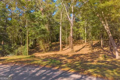 0 Locust Street #LOT 8, Hartwell, GA 30643 - Photo 6