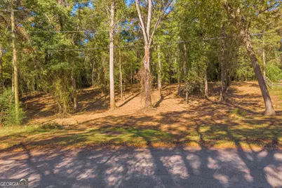 0 Locust Street #LOT 10, Hartwell, GA 30643 - Photo 8