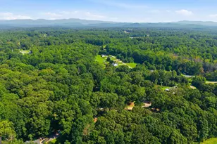 194 Windchime Circle, Demorest, GA 30535 - Photo 10