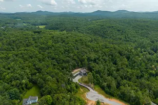 396 Greenfield Rd, Morganton, GA 30560 - Photo 74