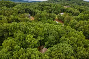 398 Mountain Tops Cir, Blue Ridge, GA 30513 - Photo 48
