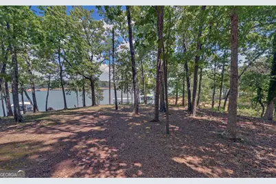149 Foxtail Drive, Hartwell, GA 30643 - Photo 40