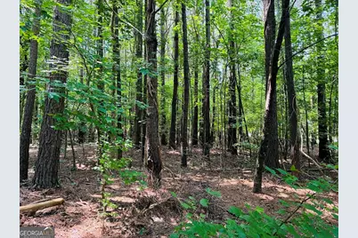 0 Mapledale Trail #LOT 51/52, Sharpsburg, GA 30277 - Photo 8