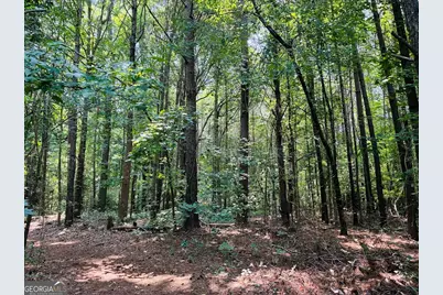 0 Mapledale Trail #LOT 51/52, Sharpsburg, GA 30277 - Photo 4
