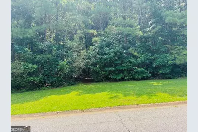 0 Mapledale Trail #LOT 51/52, Sharpsburg, GA 30277 - Photo 10