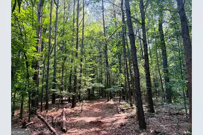 0 Mapledale Trail #LOT 51/52, Sharpsburg, GA 30277 - Photo 6