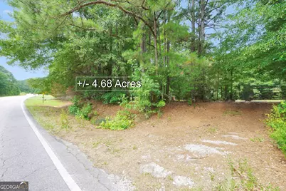 0 Leguin Mill Road, Locust Grove, GA 30248 - Photo 6