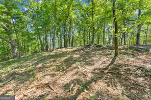 95 Chimney Oaks Trail, Cleveland, GA 30528 - Photo 1