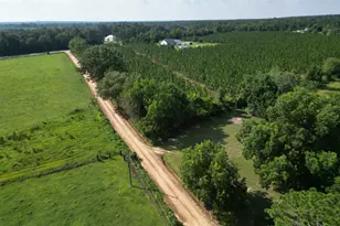 2246 Mount Olive Ch Rd, Eastman, GA 31023 - Photo 18