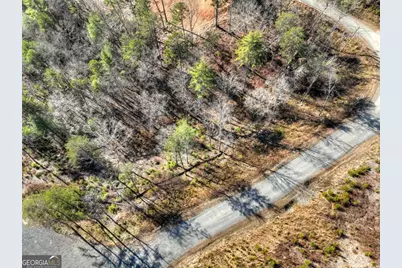 Lot 16 Mountain Laurel Ridge, Mineral Bluff, GA 30559 - Photo 8