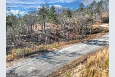 Lot 16 Mountain Laurel Ridge, Mineral Bluff, GA 30559 - Photo 10