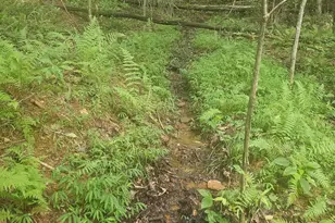 0 Watkins Rd, Blue Ridge, GA 30513 - Photo 1