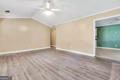 208 Drake Elm Court, Hampton, GA 30228 - Photo 12