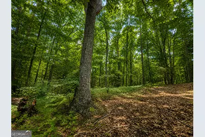 0 Gadsden Road, Cave Spring, GA 30124 - Photo 18