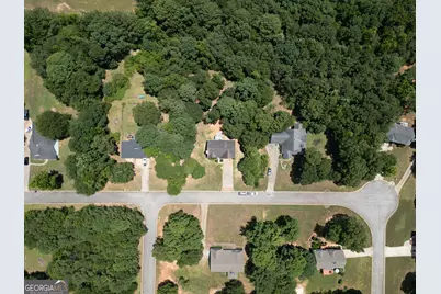 314 Black Willow Court, Locust Grove, GA 30248 - Photo 4