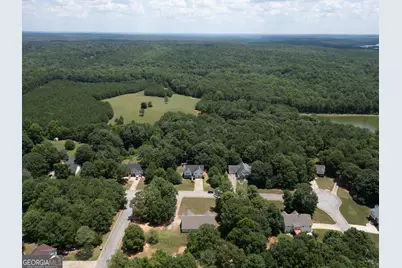 314 Black Willow Court, Locust Grove, GA 30248 - Photo 6