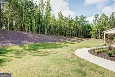 144 Forest Berry Court, Newnan, GA 30265 - Photo 54