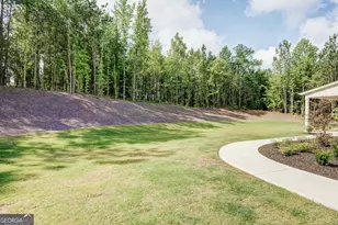 144 Forest Berry Ct, Newnan, GA 30265 - Photo 54