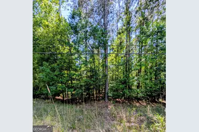 Lot 73 and 238 Island Creek Drive, Sparta, GA 31087 - Photo 1