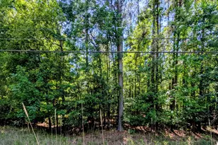 Lot 73 and 238 Island Creek Dr, Sparta, GA 31087 - Photo 1