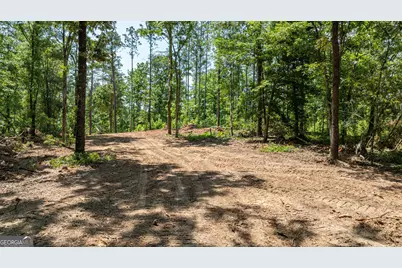 499 Faust Farm Road, Crawford, GA 30630 - Photo 6