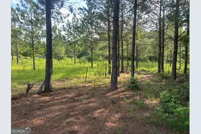 900 Habersham Church Road, Sardis, GA 30456 - Photo 4