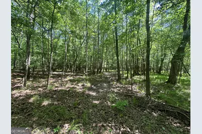 900 Habersham Church Road, Sardis, GA 30456 - Photo 6