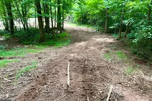 10042 Doublehead Gap Rd, Blue Ridge, GA 30513 - Photo 6