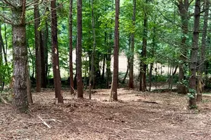 10042 Doublehead Gap Rd, Blue Ridge, GA 30513 - Photo 32