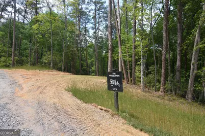 Lot 2 Murphy Hwy (Spur 60), Mineral Bluff, GA 30559 - Photo 12