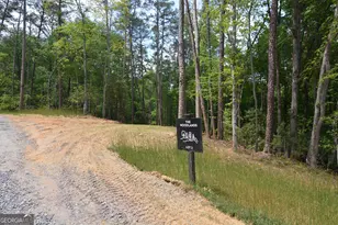 Lot 2 Murphy Hwy (Spur 60), Mineral Bluff, GA 30559 - Photo 12