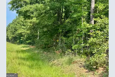 0 Springfield / Turner Road, Union Point, GA 30669 - Photo 22