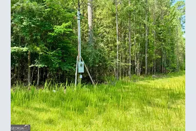 0 Springfield / Turner Road, Union Point, GA 30669 - Photo 14