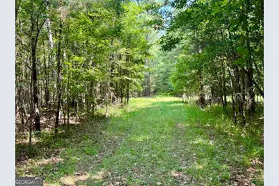 0 Springfield / Turner Road, Union Point, GA 30669 - Photo 12