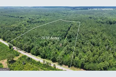 0 Springfield / Turner Road, Union Point, GA 30669 - Photo 2