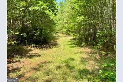 0 Springfield / Turner Road, Union Point, GA 30669 - Photo 18