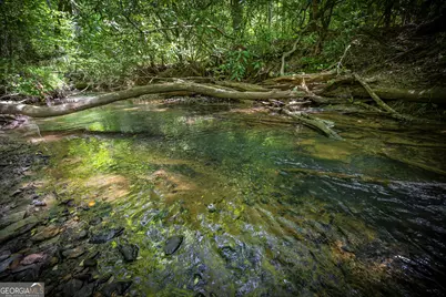Lot 1-1A Jonica Gap Road, Mineral Bluff, GA 30559 - Photo 4