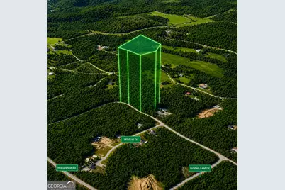 0 Pine Woods Drive, Blairsville, GA 30512 - Photo 4