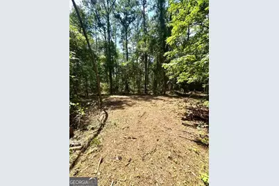 Lot 2 Kennedy Pond Road, Statesboro, GA 30458 - Photo 16