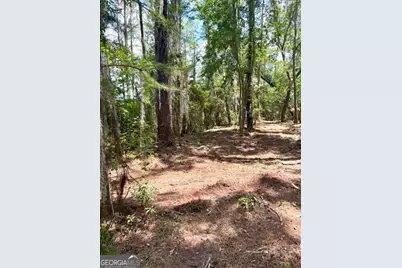 Lot 2 Kennedy Pond Road, Statesboro, GA 30458 - Photo 20
