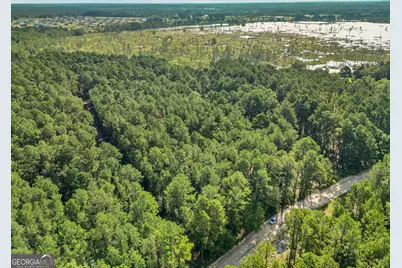 Lot 2 Kennedy Pond Road, Statesboro, GA 30458 - Photo 6