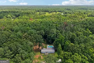 1199 Bo Bo Banks Rd, Grantville, GA 30220 - Photo 46