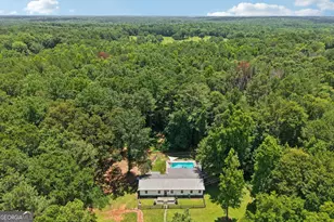1199 Bo Bo Banks Rd, Grantville, GA 30220 - Photo 44