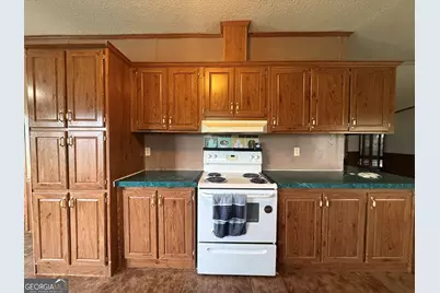 217 11th St Street, Menlo, GA 30731 - Photo 8