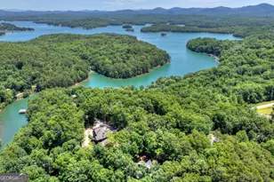 115 Pine Cone Rd, Blue Ridge, GA 30513 - Photo 2