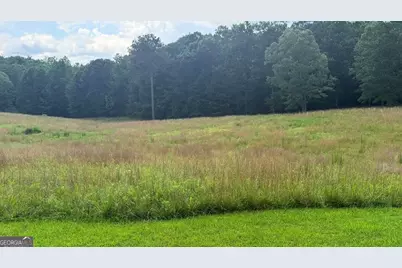 Lt 6 Spring Camp Road, Ellijay, GA 30536 - Photo 6