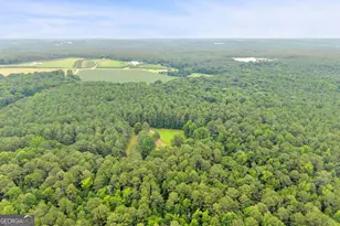 81 Paul Ln, Crawford, GA 30630 - Photo 6